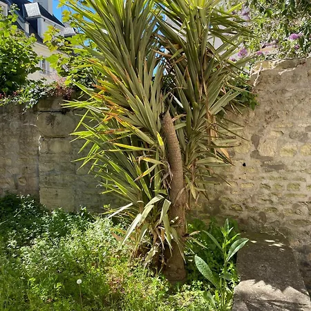 Le Nid D Abbaye Lägenhet Caen