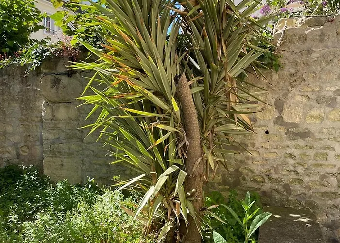 Le Nid D Abbaye Διαμέρισμα Καν